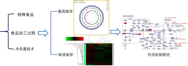 图示-2.jpg